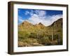 Sonoran Desert and Mountains of the Saguaro National Park-Terry Eggers-Framed Photographic Print