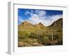 Sonoran Desert and Mountains of the Saguaro National Park-Terry Eggers-Framed Photographic Print