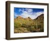 Sonoran Desert and Mountains of the Saguaro National Park-Terry Eggers-Framed Photographic Print