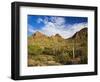 Sonoran Desert and Mountains of the Saguaro National Park-Terry Eggers-Framed Photographic Print