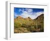 Sonoran Desert and Mountains of the Saguaro National Park-Terry Eggers-Framed Photographic Print