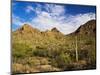 Sonoran Desert and Mountains of the Saguaro National Park-Terry Eggers-Mounted Photographic Print