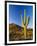 Sonoran Desert and Mountains of the Saguaro National Park-Terry Eggers-Framed Photographic Print