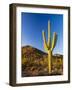 Sonoran Desert and Mountains of the Saguaro National Park-Terry Eggers-Framed Photographic Print