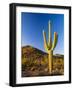 Sonoran Desert and Mountains of the Saguaro National Park-Terry Eggers-Framed Photographic Print