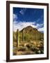 Sonoran Desert and Mountains of the Saguaro National Park-Terry Eggers-Framed Photographic Print