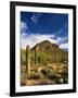 Sonoran Desert and Mountains of the Saguaro National Park-Terry Eggers-Framed Photographic Print