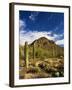 Sonoran Desert and Mountains of the Saguaro National Park-Terry Eggers-Framed Photographic Print