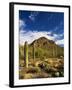 Sonoran Desert and Mountains of the Saguaro National Park-Terry Eggers-Framed Photographic Print