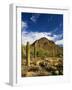 Sonoran Desert and Mountains of the Saguaro National Park-Terry Eggers-Framed Photographic Print