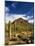 Sonoran Desert and Mountains of the Saguaro National Park-Terry Eggers-Mounted Photographic Print