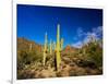 Sonoran Desert and Mountains of the Saguaro National Park-Terry Eggers-Framed Photographic Print