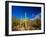 Sonoran Desert and Mountains of the Saguaro National Park-Terry Eggers-Framed Photographic Print