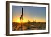 Sonoran Desert Catching Day's Last Rays.-Anton Foltin-Framed Photographic Print