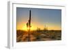 Sonoran Desert Catching Day's Last Rays.-Anton Foltin-Framed Photographic Print