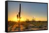 Sonoran Desert Catching Day's Last Rays.-Anton Foltin-Framed Stretched Canvas