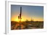 Sonoran Desert Catching Day's Last Rays.-Anton Foltin-Framed Photographic Print