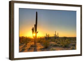 Sonoran Desert Catching Day's Last Rays.-Anton Foltin-Framed Photographic Print