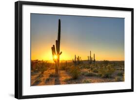 Sonoran Desert Catching Day's Last Rays.-Anton Foltin-Framed Photographic Print