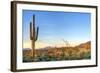 Sonoran Desert Catching Days Last Rays.-Anton Foltin-Framed Photographic Print