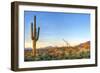 Sonoran Desert Catching Days Last Rays.-Anton Foltin-Framed Photographic Print