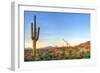 Sonoran Desert Catching Days Last Rays.-Anton Foltin-Framed Photographic Print