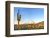 Sonoran Desert Catching Days Last Rays.-Anton Foltin-Framed Photographic Print