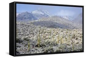 Sonoran Desert in Winter-James Randklev-Framed Stretched Canvas