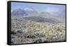 Sonoran Desert in Winter-James Randklev-Framed Stretched Canvas