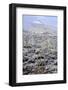 Sonoran Desert in Winter-James Randklev-Framed Photographic Print