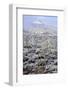 Sonoran Desert in Winter-James Randklev-Framed Photographic Print