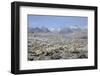 Sonoran Desert in Winter-James Randklev-Framed Photographic Print