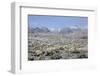 Sonoran Desert in Winter-James Randklev-Framed Photographic Print