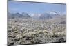 Sonoran Desert in Winter-James Randklev-Mounted Photographic Print