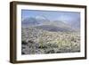 Sonoran Desert in Winter-James Randklev-Framed Photographic Print