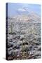 Sonoran Desert in Winter-James Randklev-Stretched Canvas