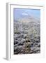 Sonoran Desert in Winter-James Randklev-Framed Photographic Print