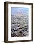 Sonoran Desert in Winter-James Randklev-Framed Photographic Print