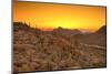 Sonoran Desert Just before Dawn, Hdr Image-Wollwerth Imagery-Mounted Photographic Print