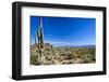 Sonoran Desert Landscape in Scottsdale Arizona-Tom Roche-Framed Photographic Print