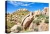 Sonoran Desert-Anton Foltin-Stretched Canvas