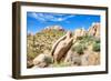 Sonoran Desert-Anton Foltin-Framed Photographic Print