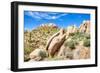 Sonoran Desert-Anton Foltin-Framed Photographic Print