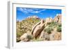 Sonoran Desert-Anton Foltin-Framed Photographic Print