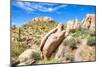 Sonoran Desert-Anton Foltin-Mounted Photographic Print