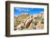 Sonoran Desert-Anton Foltin-Framed Photographic Print