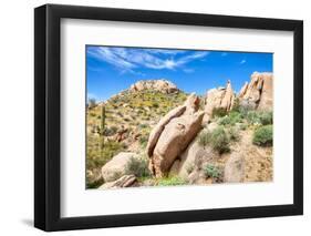 Sonoran Desert-Anton Foltin-Framed Photographic Print