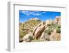 Sonoran Desert-Anton Foltin-Framed Photographic Print