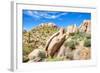 Sonoran Desert-Anton Foltin-Framed Photographic Print