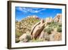 Sonoran Desert-Anton Foltin-Framed Photographic Print